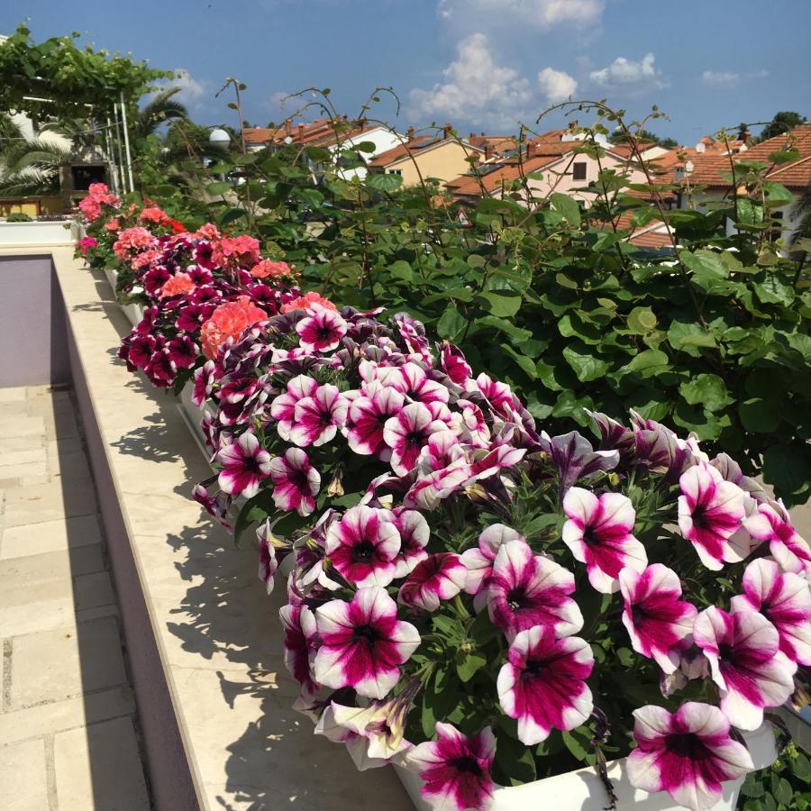 Villa Millefiori - Apartments 말리로시니 외부 사진